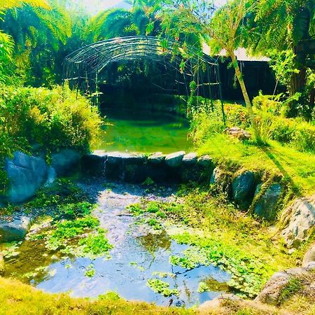 Ruisui Palm Lakes B&B エクステリア 写真