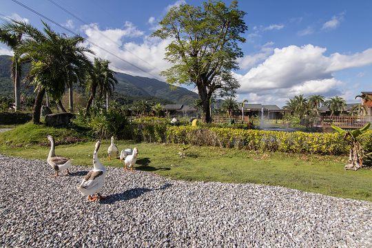 Ruisui Palm Lakes B&B エクステリア 写真