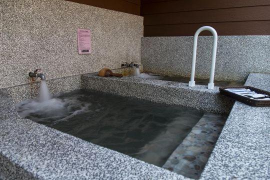Ruisui Palm Lakes B&B エクステリア 写真